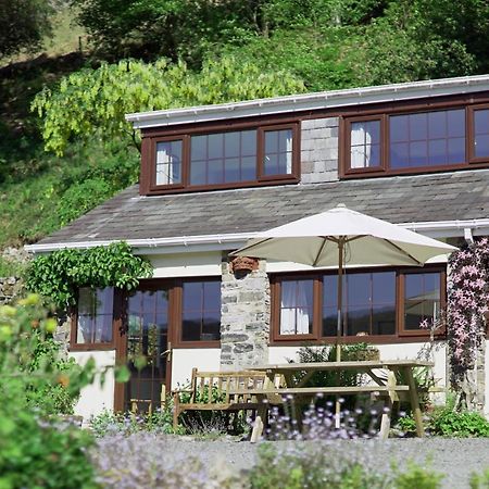 Kilsby Cottage Llanwrtyd Wells Ngoại thất bức ảnh