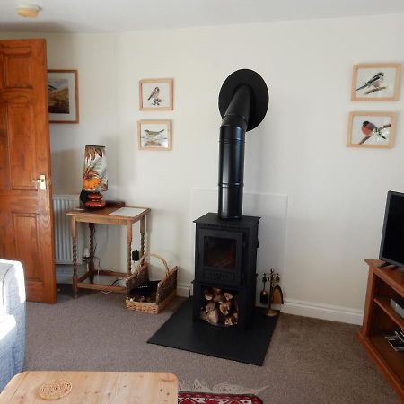 Kilsby Cottage Llanwrtyd Wells Ngoại thất bức ảnh
