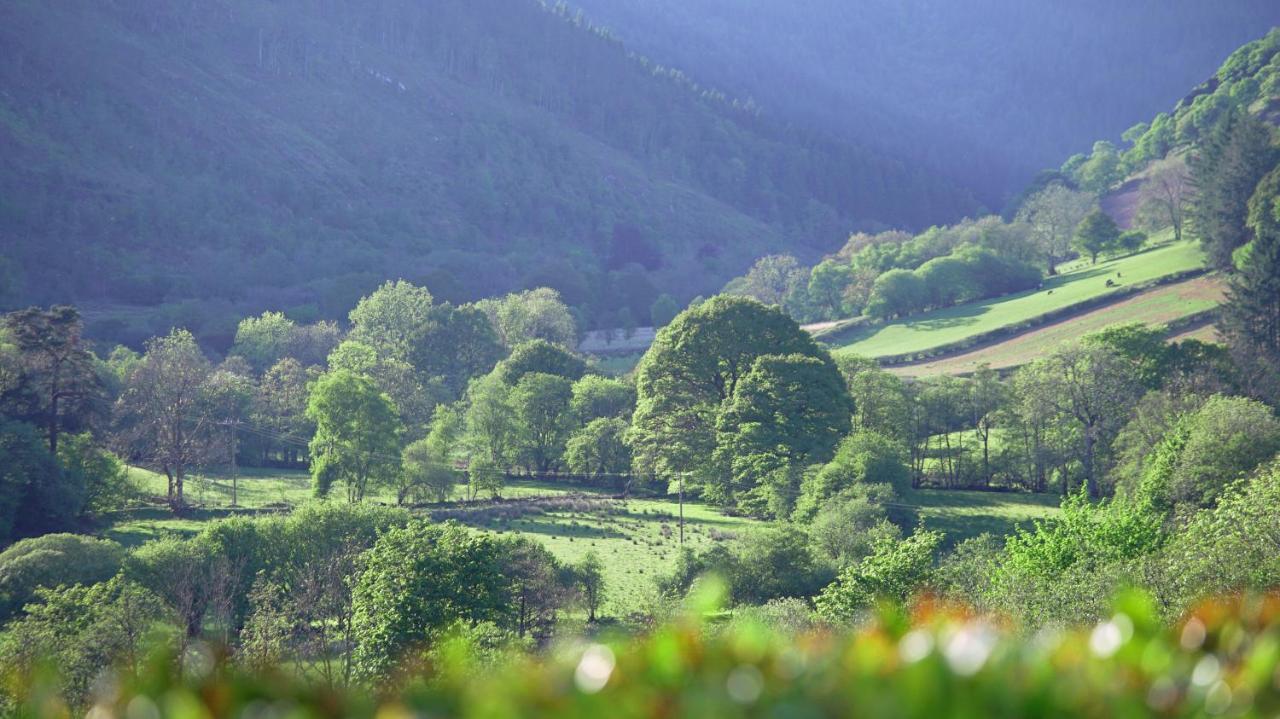 Kilsby Cottage Llanwrtyd Wells Ngoại thất bức ảnh